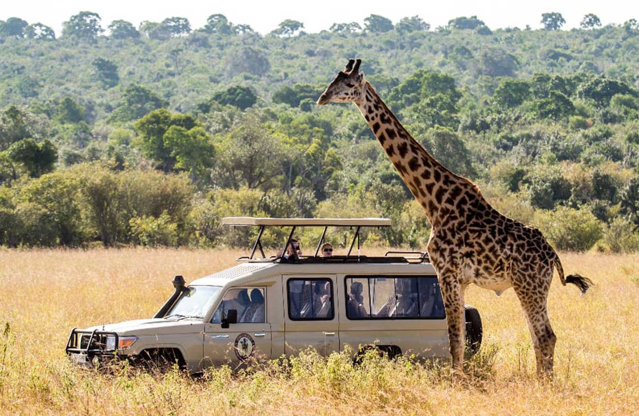 تور آفریقای جنوبی